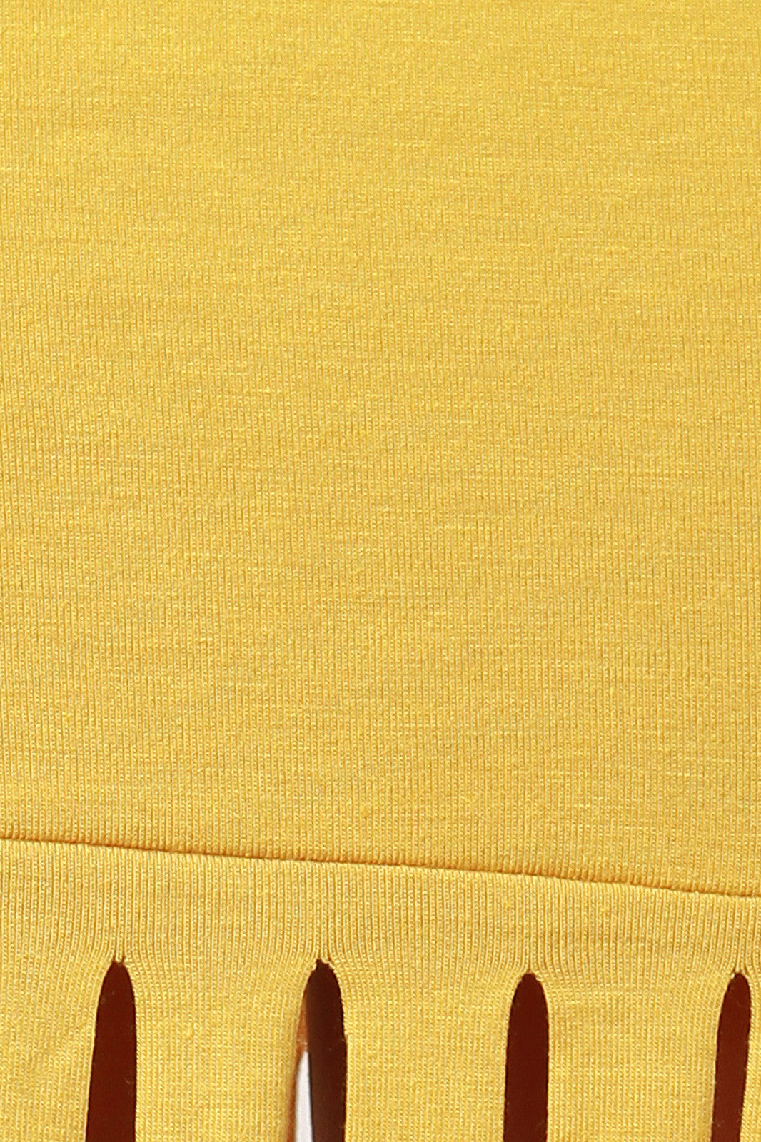 Scoop Boat Neckline Fringe Dress